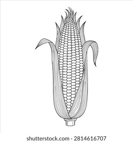 Ear corn and husks