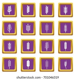 Ear corn icons set in purple color isolated vector illustration for web and any design