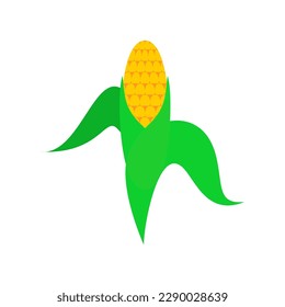 Ear of corn isolated. Vector illustration