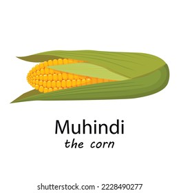 Ear of Corn for Kwanzaa - Ear of corn called muhindi for Kwanzaa