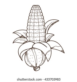Ear of corn logo. Outline drawing for coloring on farming, growing of plants.