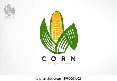 Ear of corn logo vector. Food design.