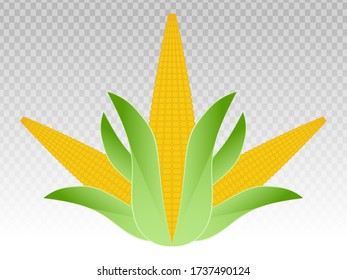 Ear of corn / maize flat color icons on a transparent background