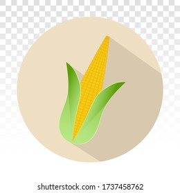 Ear of corn / maize flat icons for apps or website