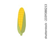Ear of corn vector illustration in cartoon style for sticker, print, poster, postcard