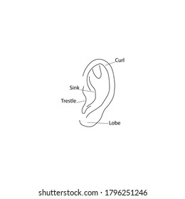 Ear diagram structure icon. Vector illustration eps 10