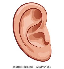 ear drawing on white background