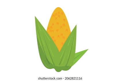 Ear of fresh yellow corn isolated on white background. Organic food.
