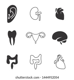 Ear, heart, tooth, bladder, brain, kidney icons set. Organs icons set. Vector illustration