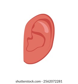 Ear, Human Body Part Illustration