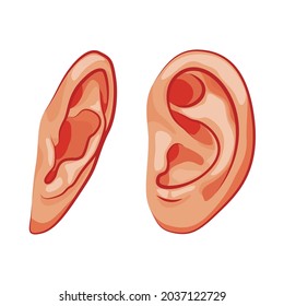 Ear human icons isolated on white background. Design template of body part, human organ. Ears in different angles.