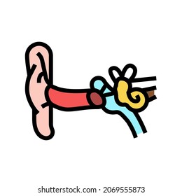 ear human organ color icon vector. ear human organ sign. isolated symbol illustration