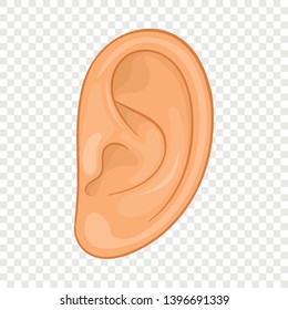 Ear icon. Cartoon illustration of ear vector icon for web design