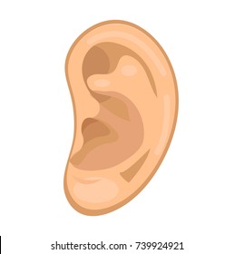 Ear icon flat style. Anatomy, medicine concept. Hearing sound. Isolated on white background. Vector illustration