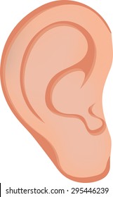 Ear Illustration