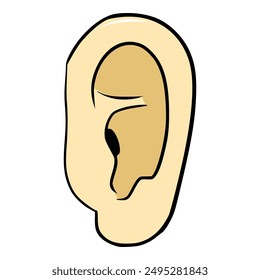 ear illustration hand drawn isolated vector