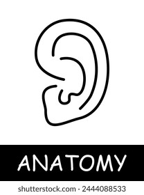 Ear line icon. Hearing, shell, anatomy, medicine, training, doctor, nurse, human, body, physiology. Vector line icon for business and advertising