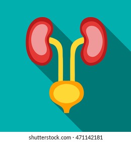 Ear membranes icon in flat style with long shadow. Human organs symbol