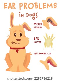 Ear mites, mold grow, inflammation. Common ear problems in dogs. Medical veterinarian vertical poster. Vector illustration isolated on a white background