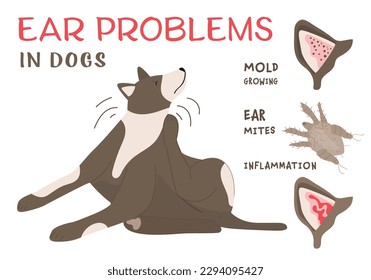 Ear mites, mold grow, inflammation. Common ear problems in dogs. Medical veterinarian horizontal poster. Vector illustration isolated on a white background