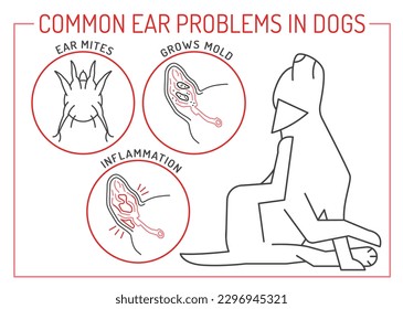 Ácaros de oído, molde, inflamación. Problemas de oído comunes en perros. Cartel horizontal del veterinario médico. Ilustración del vector aislada en un fondo blanco