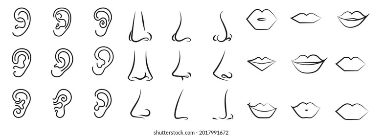 Ear, nose, lips icon set. Line mouth symbol, listen sign, sense of smell pictogram? isolated on white background