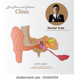 Ear nose and throat.Ear nose and throat vector on gray background.  vector illustration.