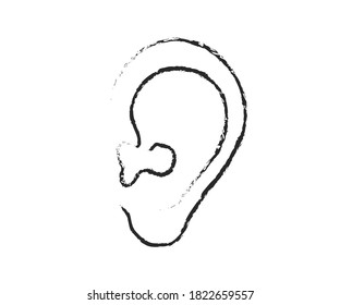 Ear on a white background. Sketch. Vector illustration.