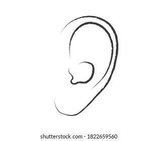 Ear on a white background. Sketch. Vector illustration.