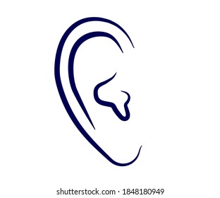 Ear on a white background. Sketch. Vector illustration.