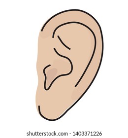 Ear on a white background. Vector illustration.