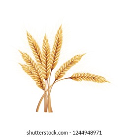 Ear Of Paddy Rice Barley Malt Wheat