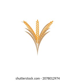 Ear of paddy rice isolated on white background. Icon vector illustration.
