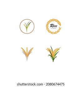 Ear of paddy rice isolated on white background. Icon vector illustration.