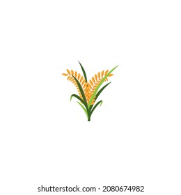 Ear Of Paddy Rice Isolated On White Background. Icon Vector Illustration.