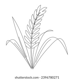 Ear of paddy rice isolated on white background. Icon vector illustration.