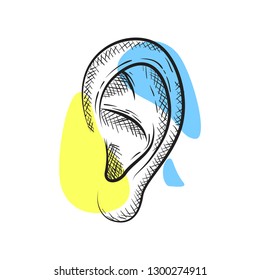 Ear in pencil art style.Creative yellow and blue color. Vector illustration design.