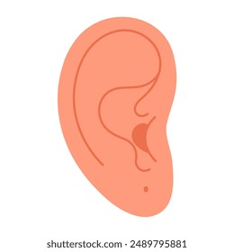 Ear with a piercing hole, pierced earlobe. Hand drawn trendy flat style isolated modern jewelry. Ear without earring. Vector illustration