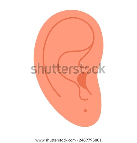 Ear with a piercing hole, pierced earlobe. Hand drawn trendy flat style isolated modern jewelry. Ear without earring. Vector illustration