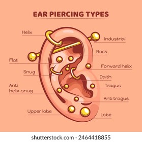 Tipos de perforación de oído. Gráfico de infografía de orejas perforadas, moda hermoso anillo de joyería del cuerpo estilo de vida lóbulo plano hélice concha orbital rook tragus daith tipo ingeniosa Ilustración vectorial