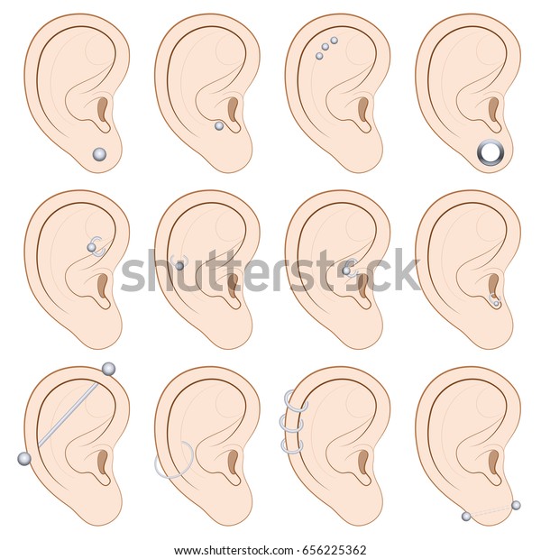 Chart Of Ear Piercings