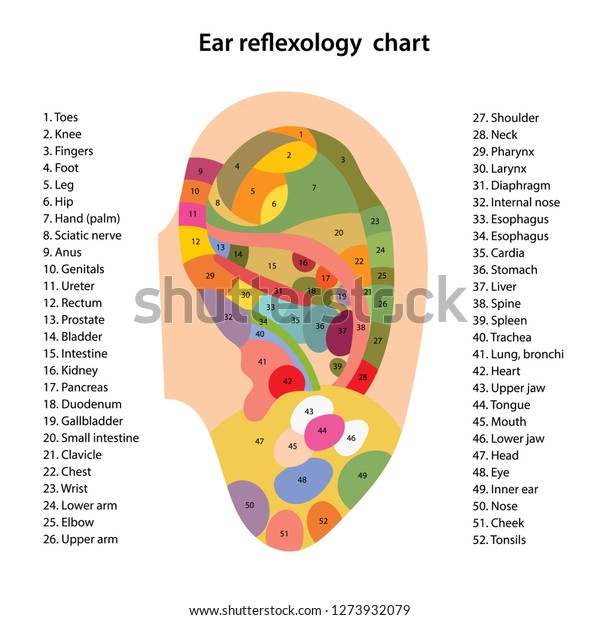 Reflexology Ear Chart Printable