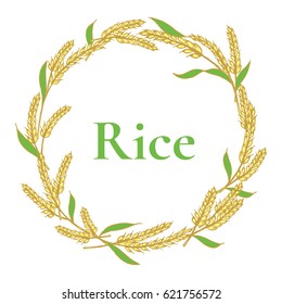 ear of rice circle frame design, plant vector