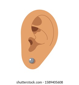 Ear with a silver earring. Piercing. Auricle. Organ of hearing. Vector isolated illustration.