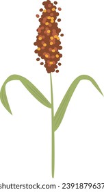 Ear Of Sorghum Vector Illustration