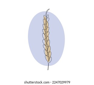 ear, spike of wheat,hand drawn, continuous mono line, one line art