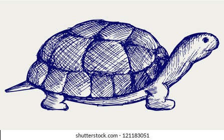Ear tortoise. Doodle style