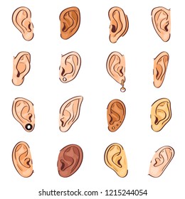 Ear vector human eardrum ear rope hearing sounds or deafness and listening body part illustration sensory set female ears with earrings ear-rings isolated on white background