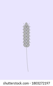 Ear of wheat. Autumn harvest. Harvesting. Vector