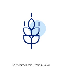 Ear of wheat. Baking, healthy eating or gluten allergy notification. Pixel perfect, editable stroke vector icon